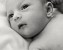 infant