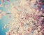 blossom