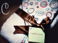 Baby Shower Gifts