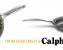Calphalon