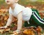 Baby in leaves