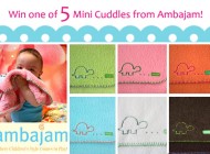 Ambajam