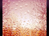 Wordless Wednesday Photo