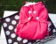 AppleCheeks Cloth Diapers
