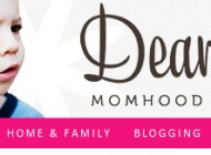 blogger biography