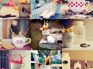 cookie splash photos