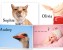 ruined baby names
