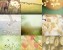 soothing photos