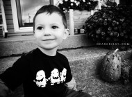 Wordless Wednesday Meme
