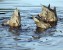 duck photo