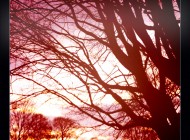 after the storm