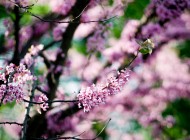 first day of spring