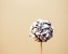 cakepops3