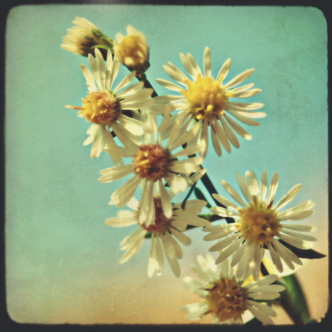 Through the viewfinder