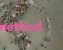 method logo