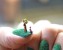 Miniature Landscape Nail Art