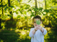 Wordless Wednesday: Green