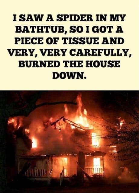 http://dearcrissy.com/wp-content/uploads/2013/05/spider-burn-house-down.jpg