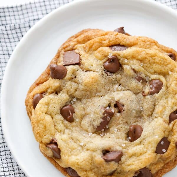 Best Chocolate Chip Cookies