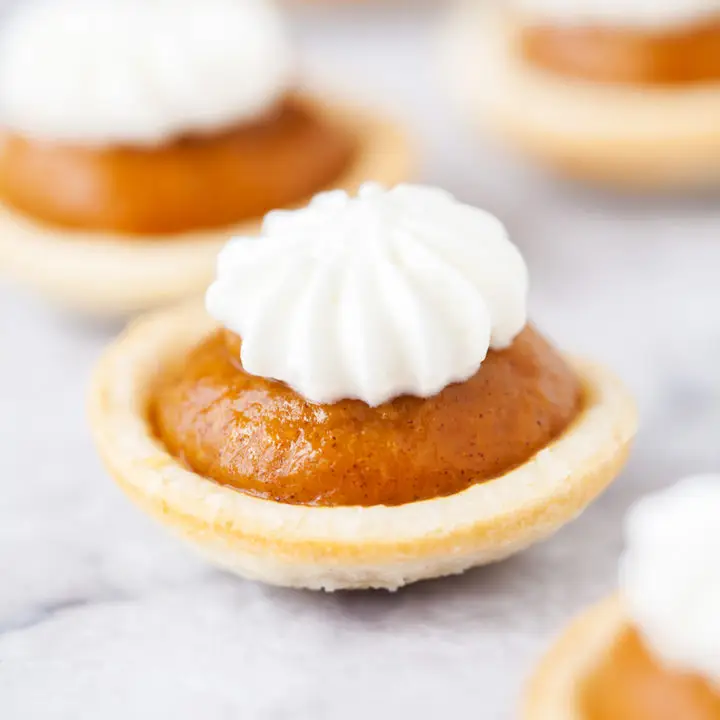 mini pumpkin pies 3a