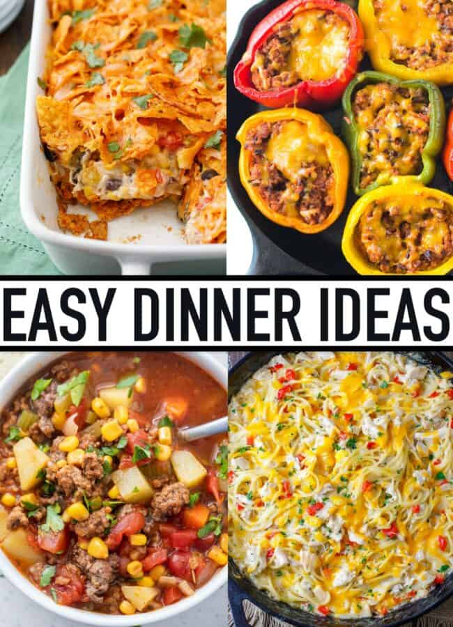 Four Quick And Easy Dinner Ideas For Picky Eaters - Aria Art