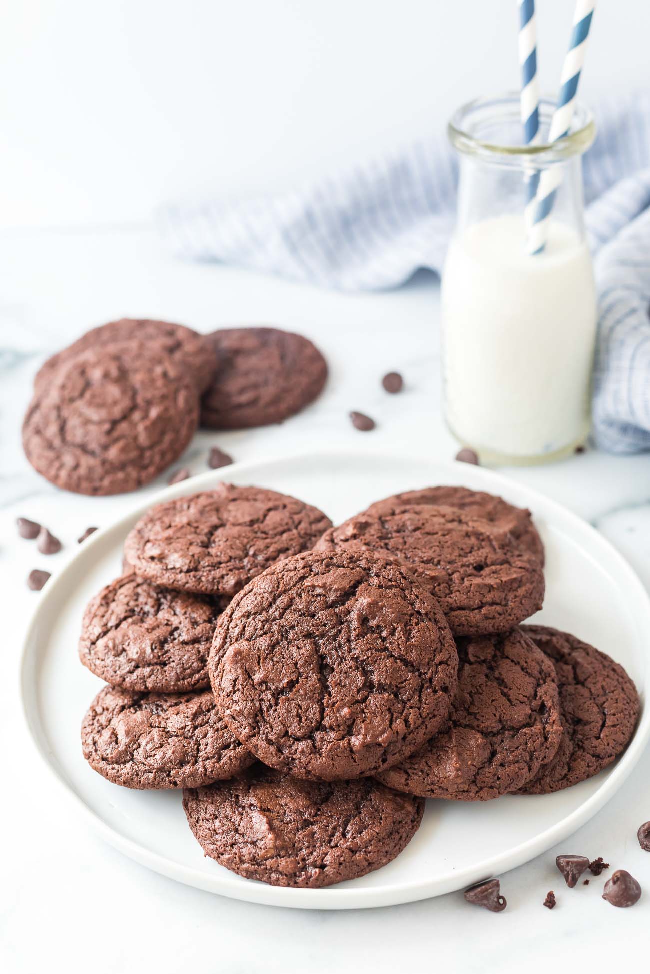 plate of brownie cocoa powder cookies