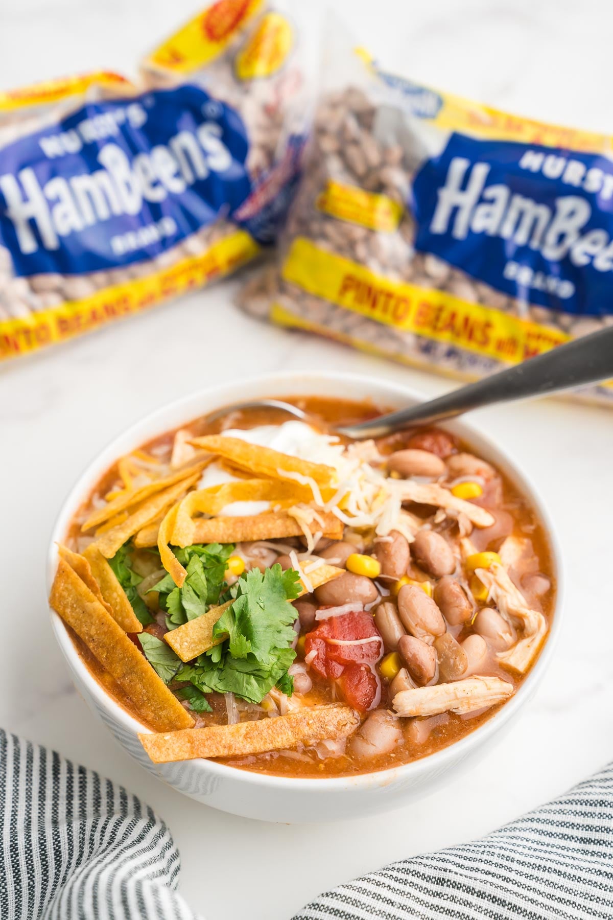 stew in a bowl with crispy tortilla strips