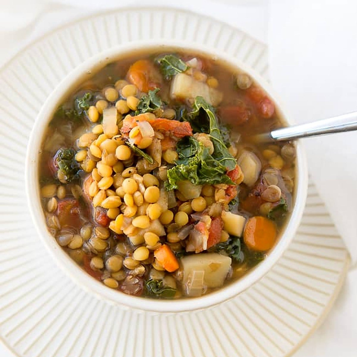 Crock Pot Vegetable Lentil Soup