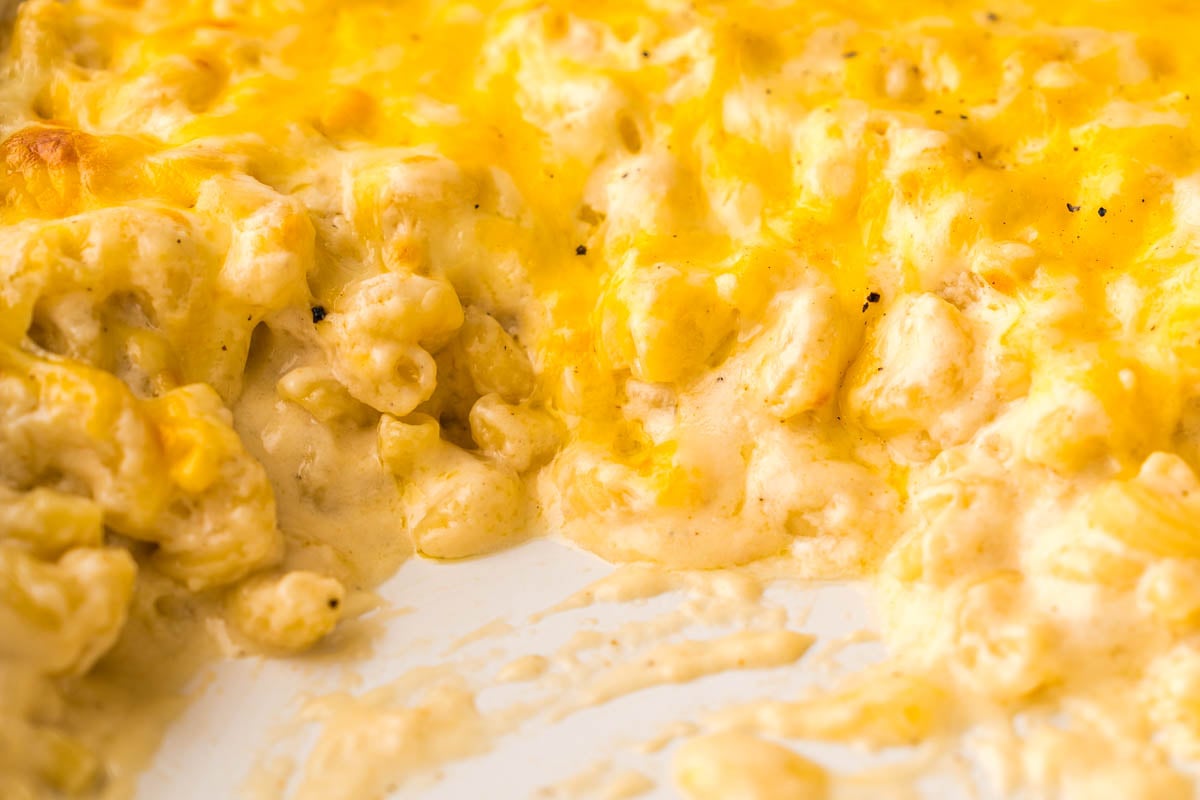 Close-up of creamy sauce and pasta left in a dish after a scoop was taken out.
